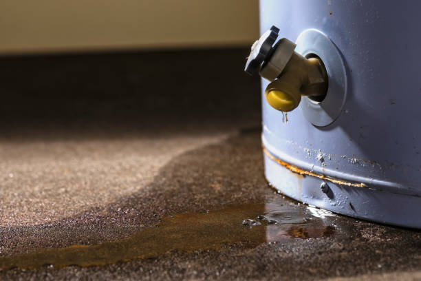 Best Water damage restoration near me  in Hollis, OK