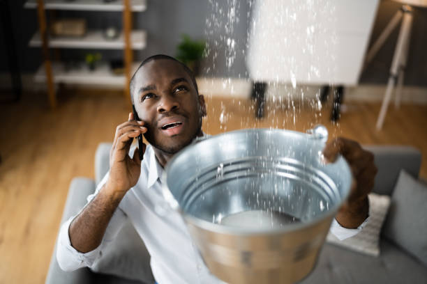 Best Water damage mitigation services  in Hollis, OK