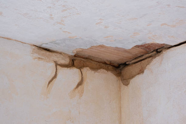 Best Local water damage restoration  in Hollis, OK