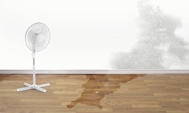 Best Water damage restoration near me  in Hollis, OK