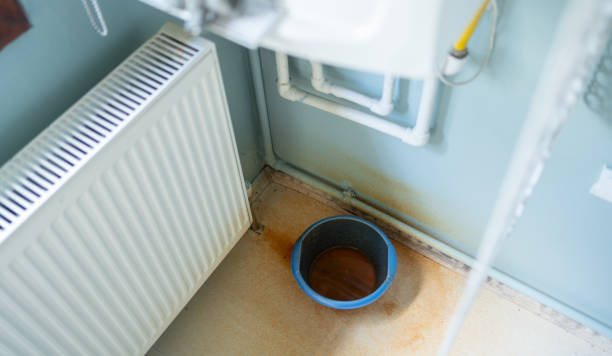 Best Water damage cleanup near me  in Hollis, OK