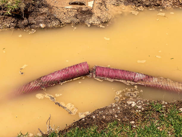 Best 24-hour water damage restoration  in Hollis, OK